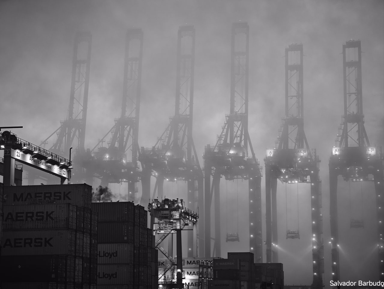 Entre gigantes